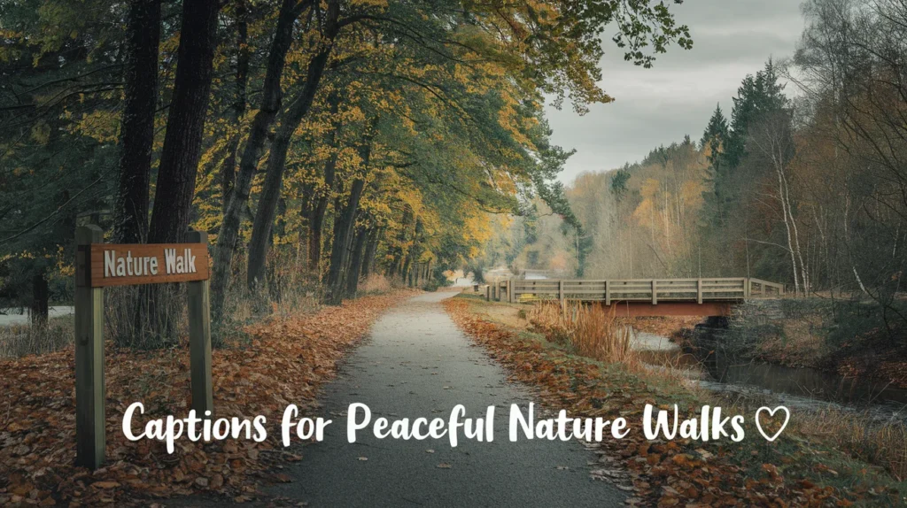 Captions for Peaceful Nature Walks