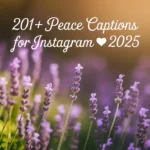 Peace Captions for Instagram
