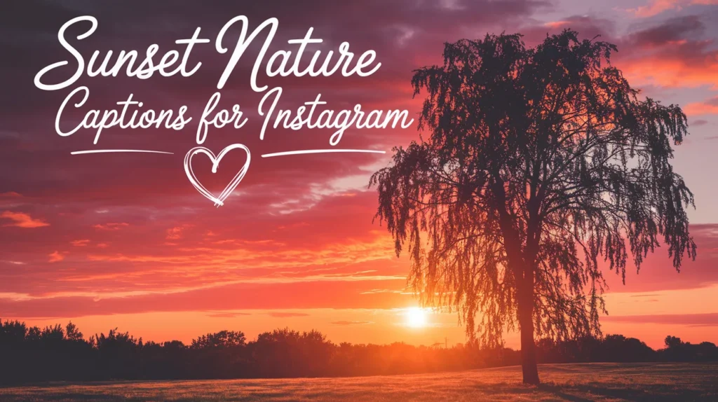 Sunset Nature Captions for Instagram