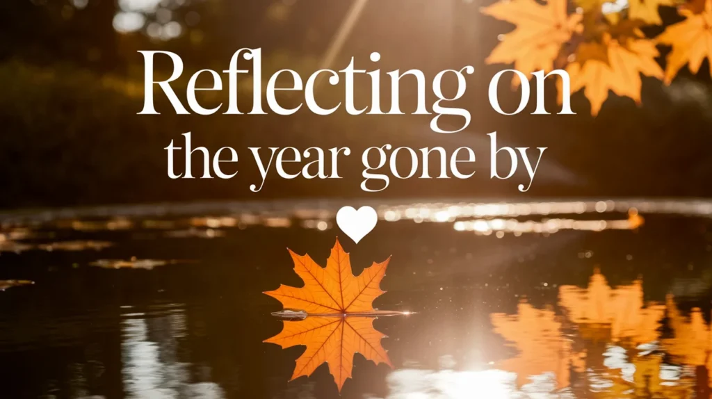 Reflecting on the Year Gone By